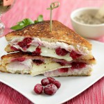 Pan-fried Turkey, Brie and Cranberry Sandwich